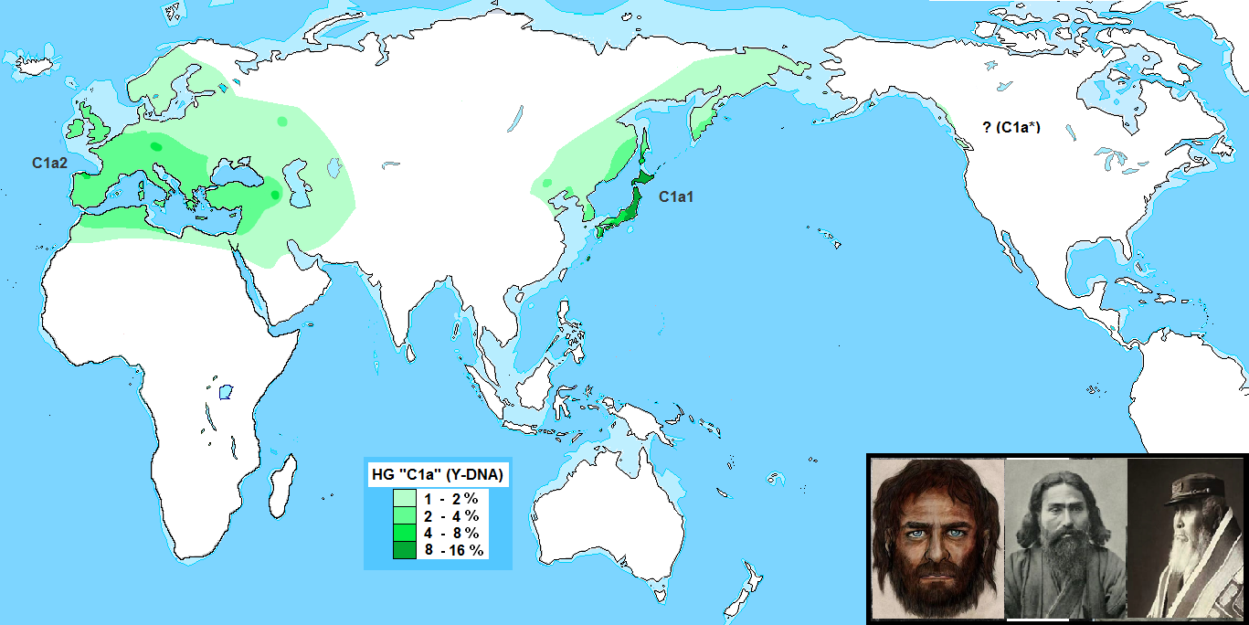 Haplogroup_C1a_(Y-DNA)_worldwide.png