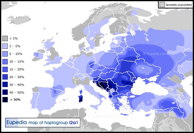 Haplogroup_I2a (3).gif