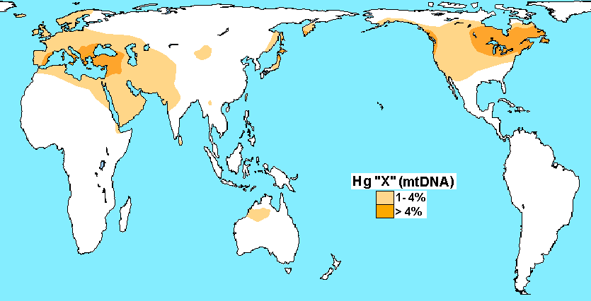 Haplogroup_X_(mtDNA) (2).PNG