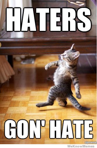 haters-gonna-hate-cat[1].jpg