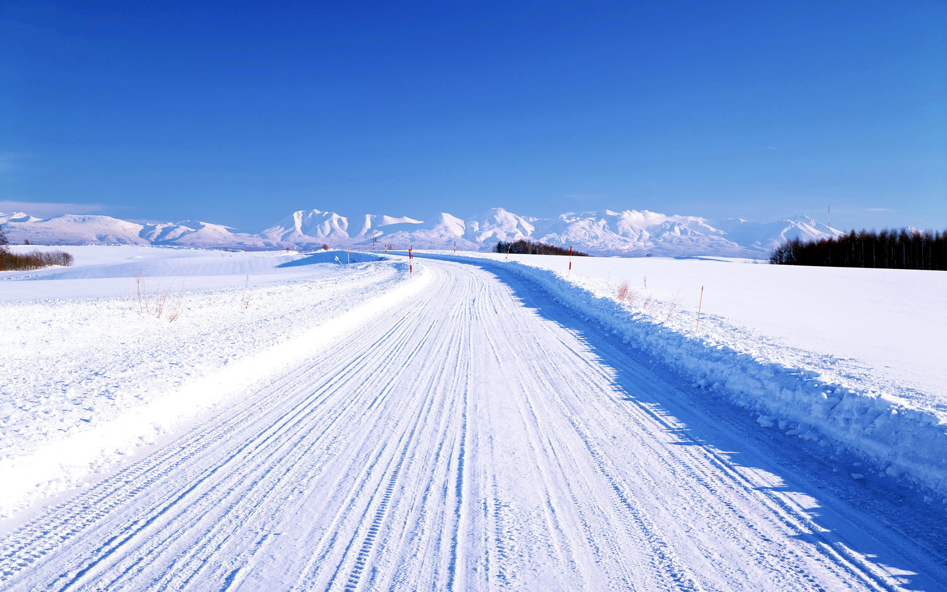 hokkaido_snow_world_in_winter[1].jpg