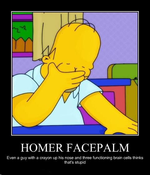 Homer-Face-palm-random-27010204-482-563.jpg