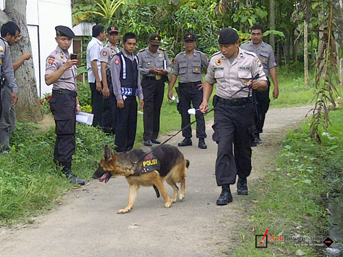 image_13_anjing-pelacak2.jpg