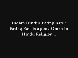 Indian Hindus Eating Bats 01.32.40].jpg