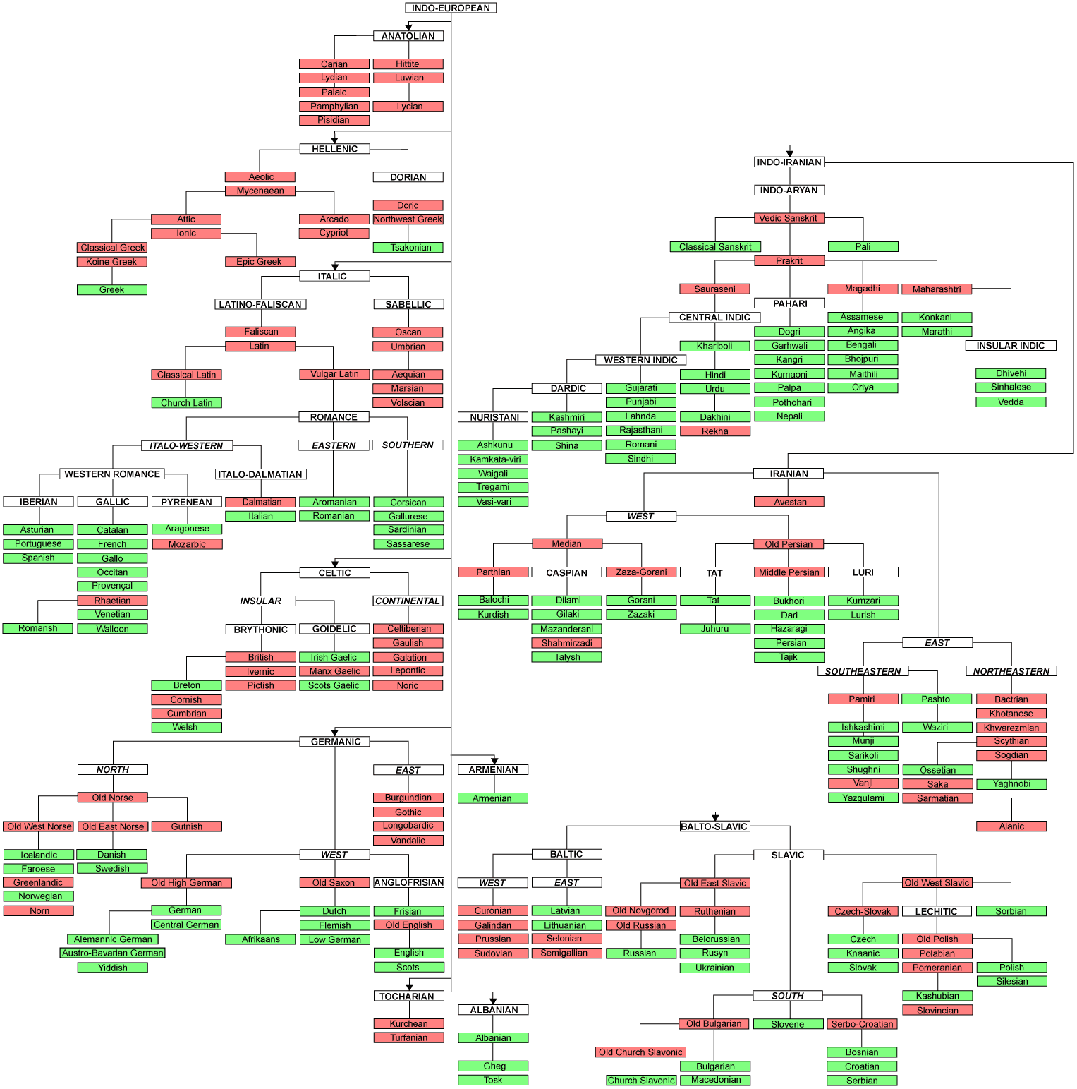 indoEuropeanTree.gif