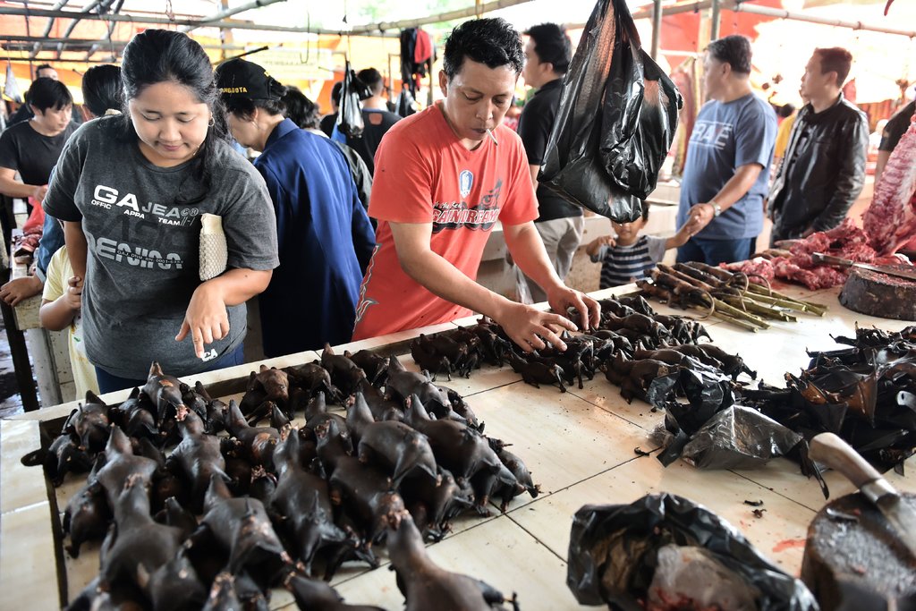 INDONESIA BAT MARKET.jpg