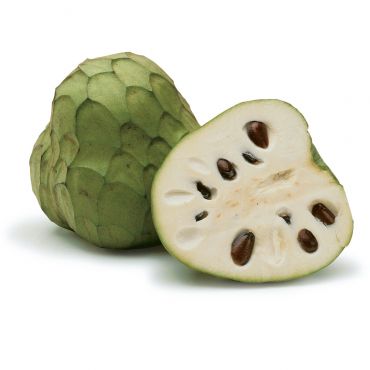 ING-cherimoyas_sql.jpg