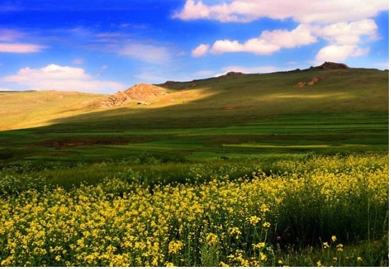 Inner Mongolia_Huitengxile grassland (辉腾锡勒草原).jpg