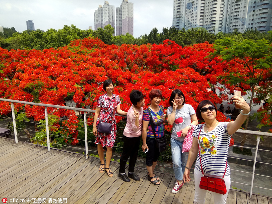 Internet+tourism.(5).Shenzhen.jpg