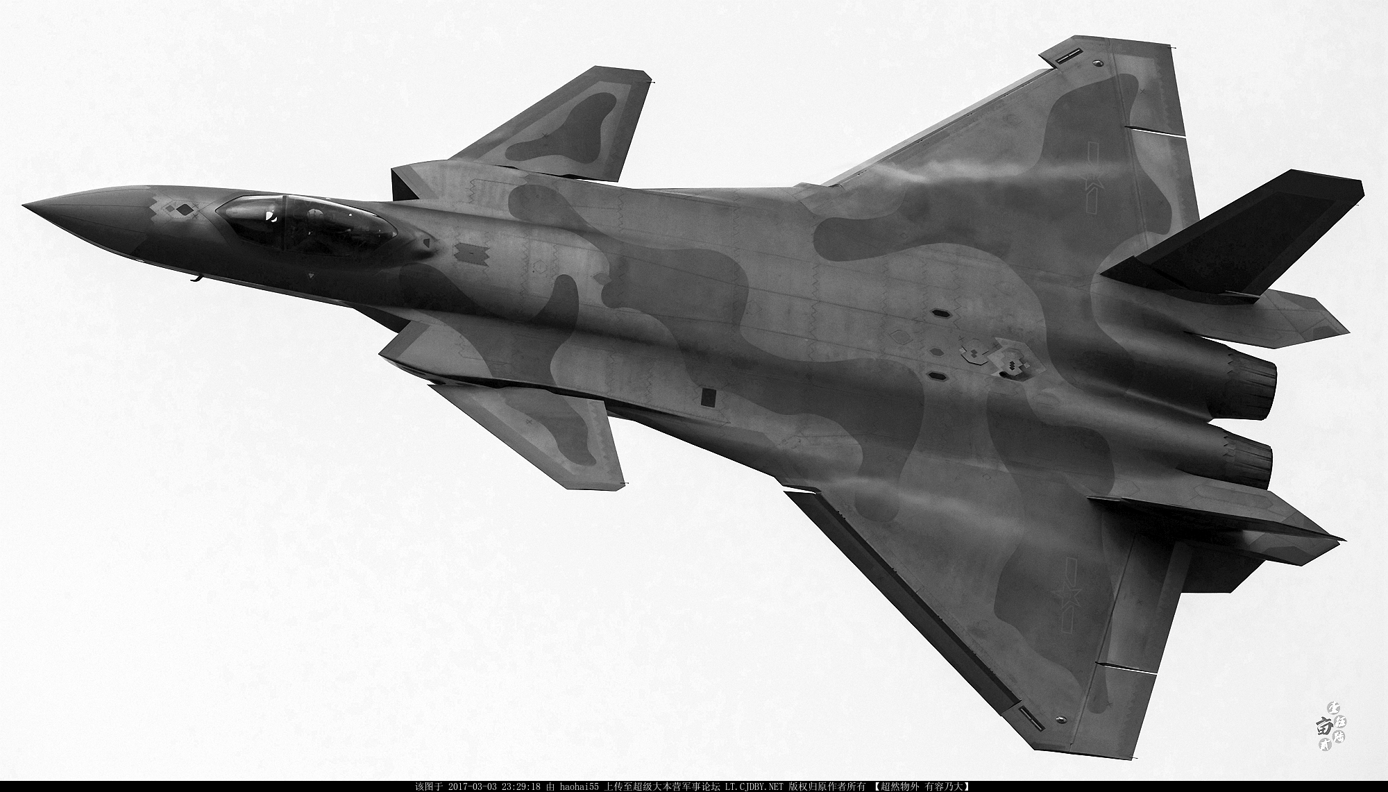 J-20A 78275 - 176. Brigade Milka dots camo - 20170303 - 1bw mod.jpg