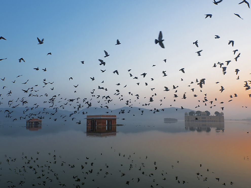 Jal Mahal Water Palace in Jaipur, Indiarajasthan-palace-sunrise_89886_990x742.jpg