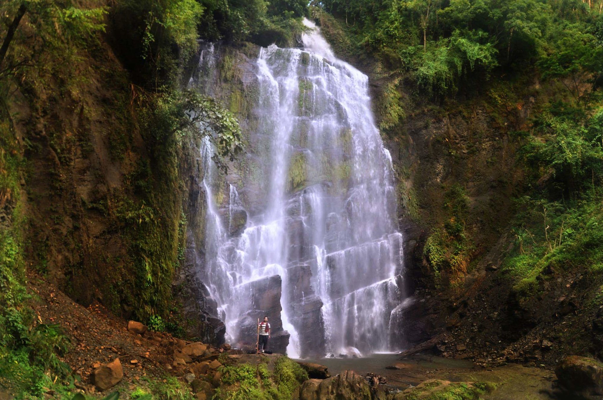 জাদিফাই.jpg