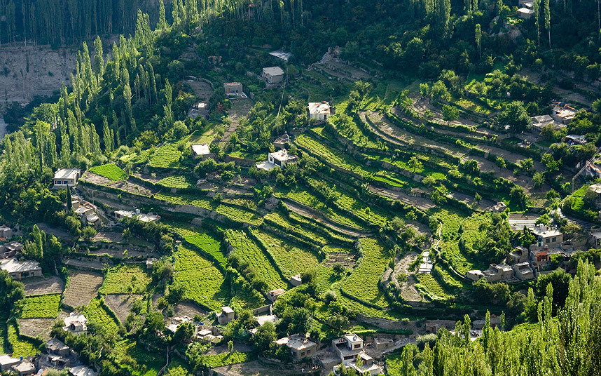 karimabad-terrace-_3418113k.jpg