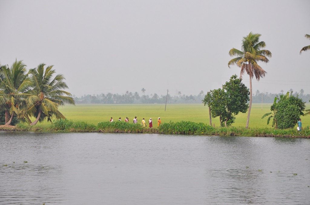 Kerala 2.jpg