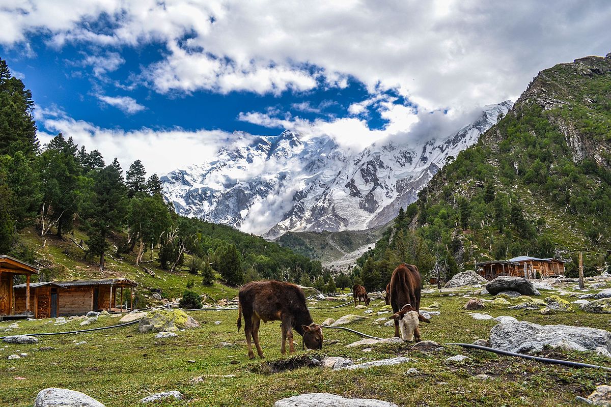 Killer_Mountain_Nanga_Parbat_2.0.jpg