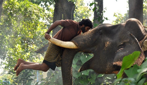 Kumki_Movie_Latest_Photos_Stills_23.jpg