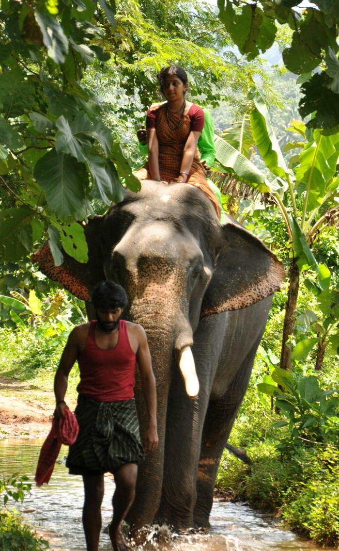 kumki_movie_stills_754.jpg