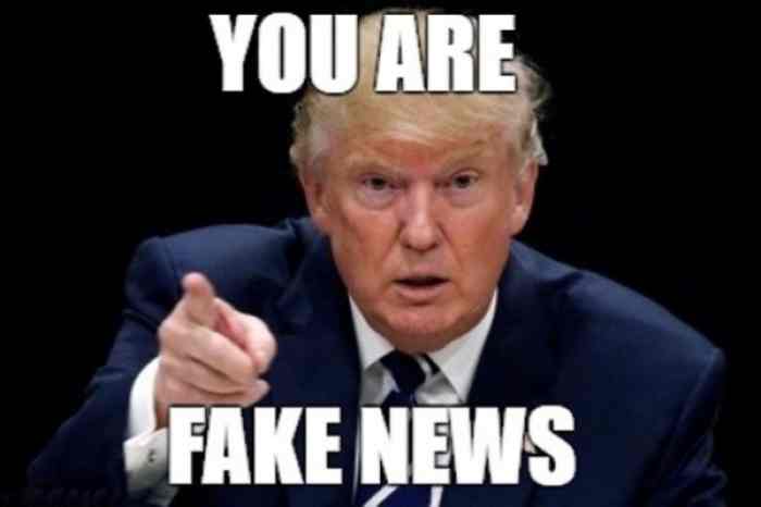 l-21806-you-are-fake-news.jpg