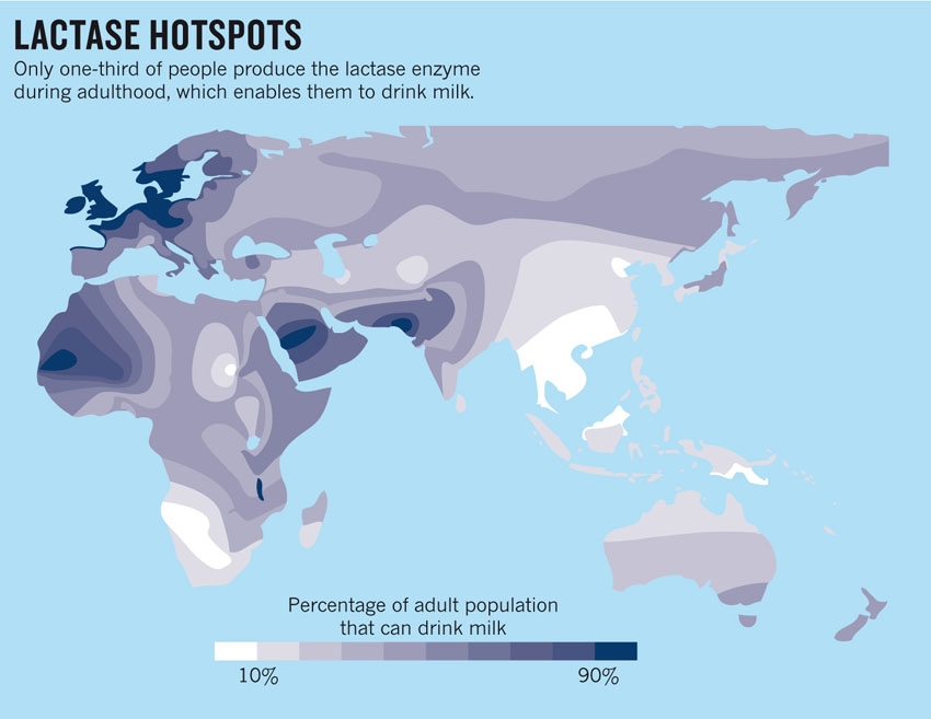 lactase-hotspots.jpg