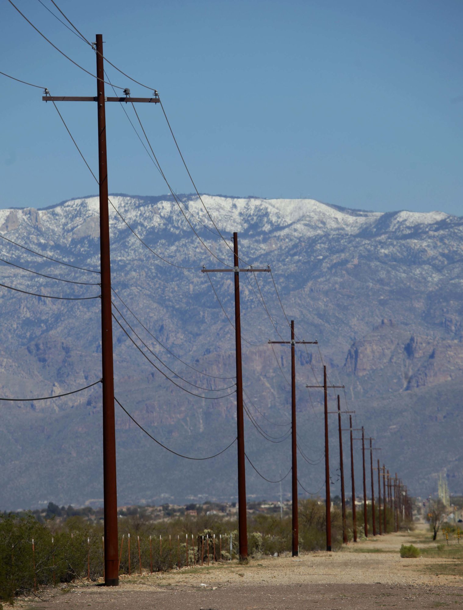 Line of weathering steel poles in Tucson.jpg