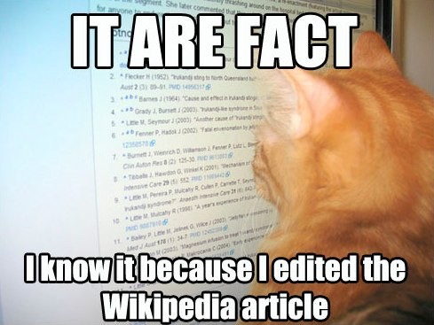 lolcatmemewikipedia-71e3bf7ff5d720cb0a52824ca9b74346_h.jpg