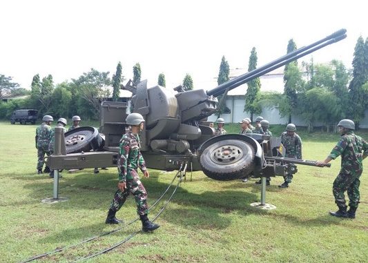 meriam-aa-35-mm-twin-gun-2-1.jpg-533x381.jpg