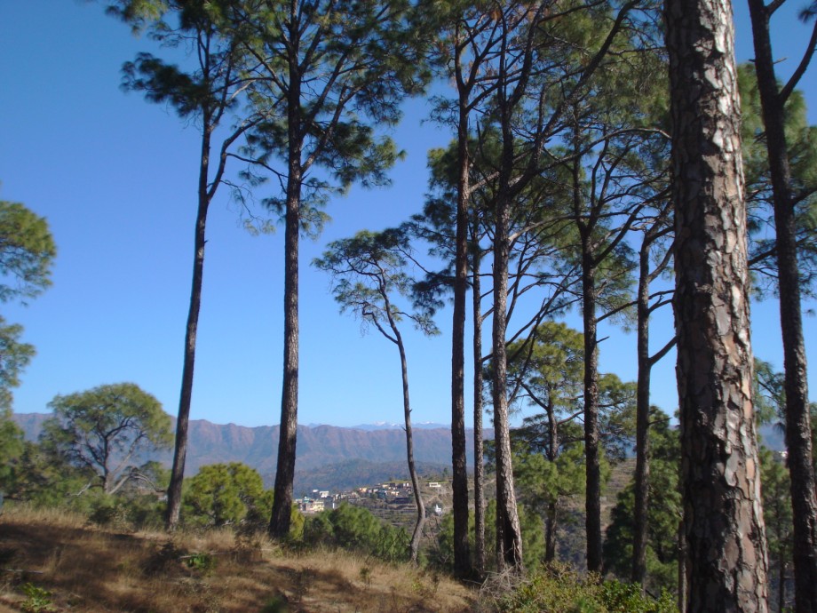 MORNI HILLS - TIKKAR TAL LAKE (21).jpg