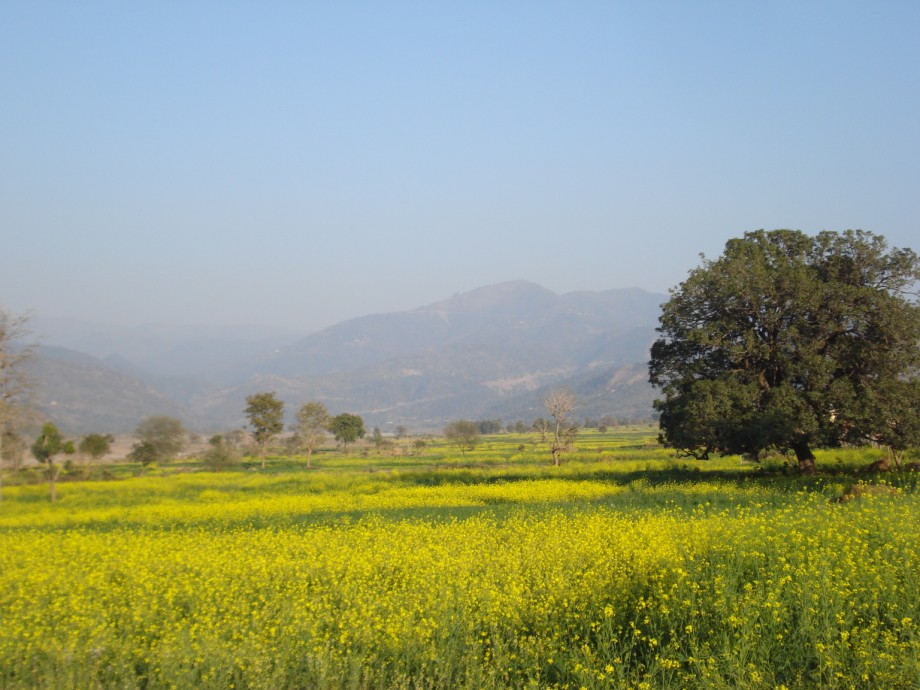 MORNI HILLS - TIKKAR TAL LAKE (59).jpg