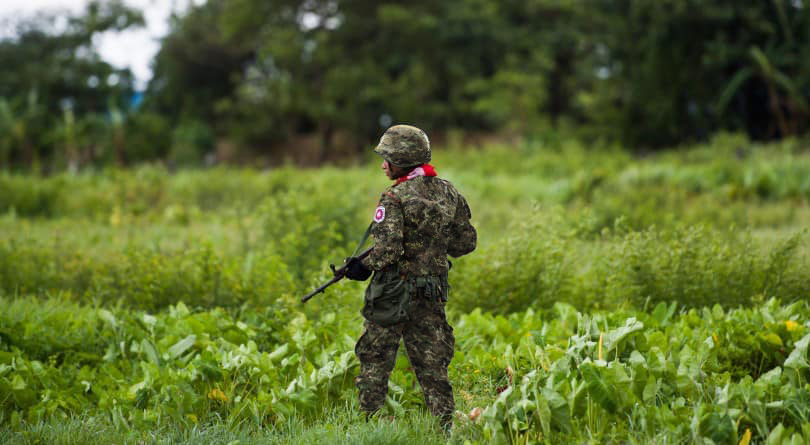 Multicam Digital Tropical Demo.jpg