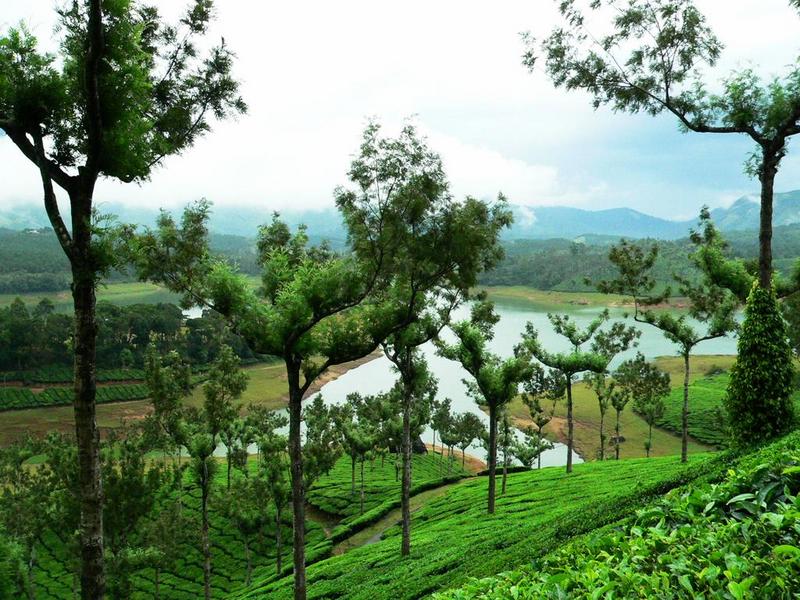 Munnar 2.jpg