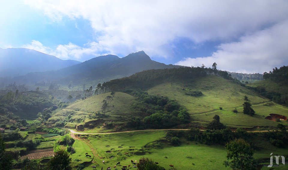 munnar-jm-1.jpg