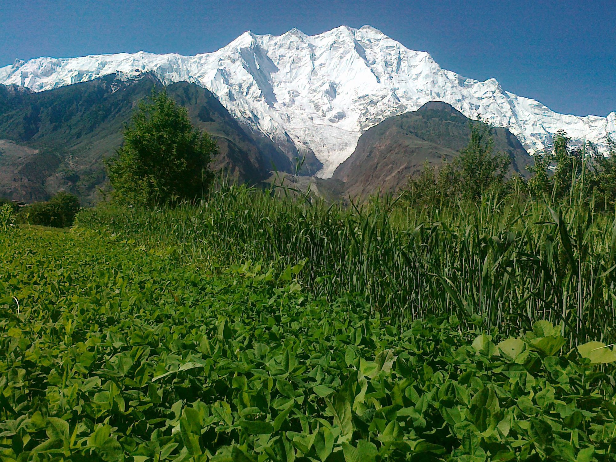 Nasirabad-Hunza_Valley.jpg