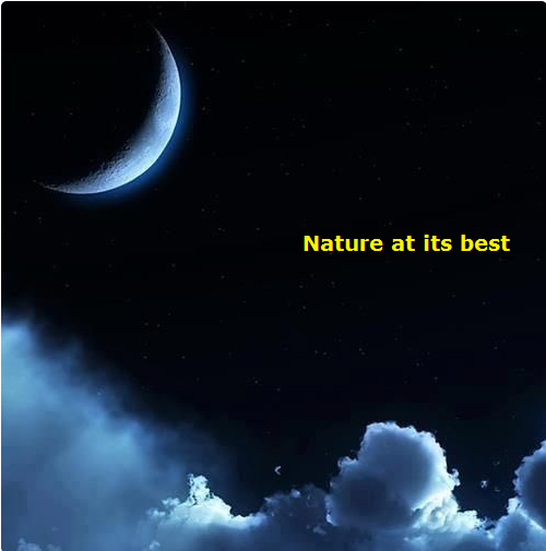 nature.png