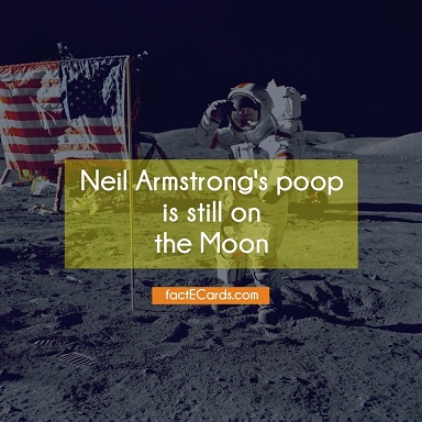 Neil-Armstrongs-poop-still-Moon-2092.jpg