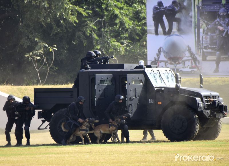 nsg-commandos-demonstrate-their-skills-on-33rd-601096.jpg