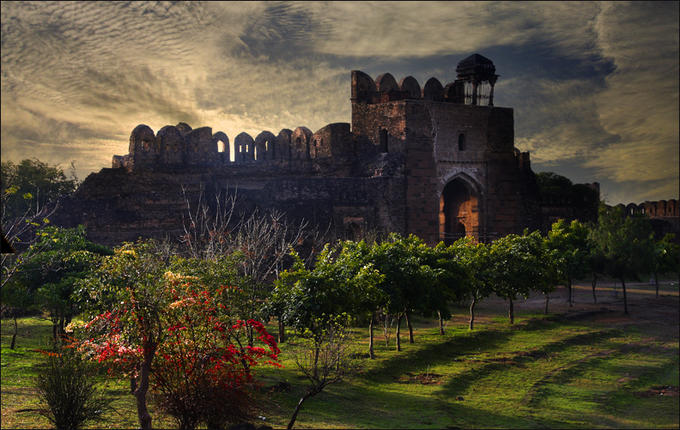 old-house-beautiful-tree-image-in-pakistan.jpg