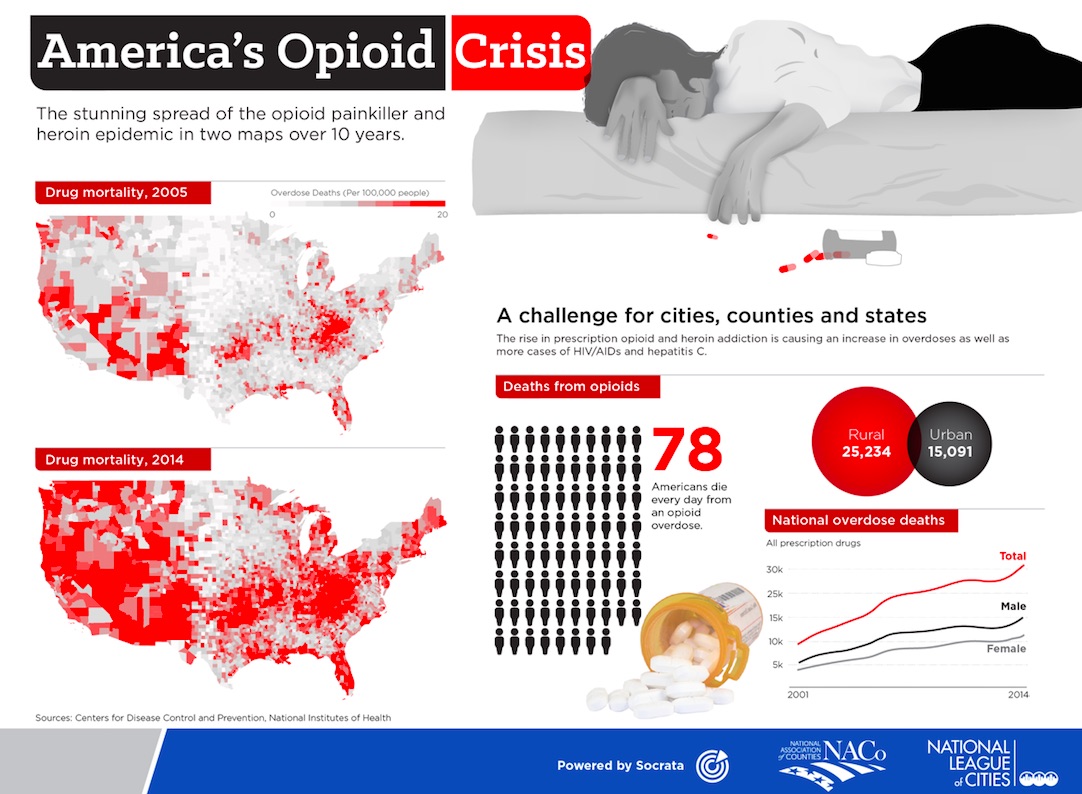 Opioid crisis 2015 USA-1.jpg