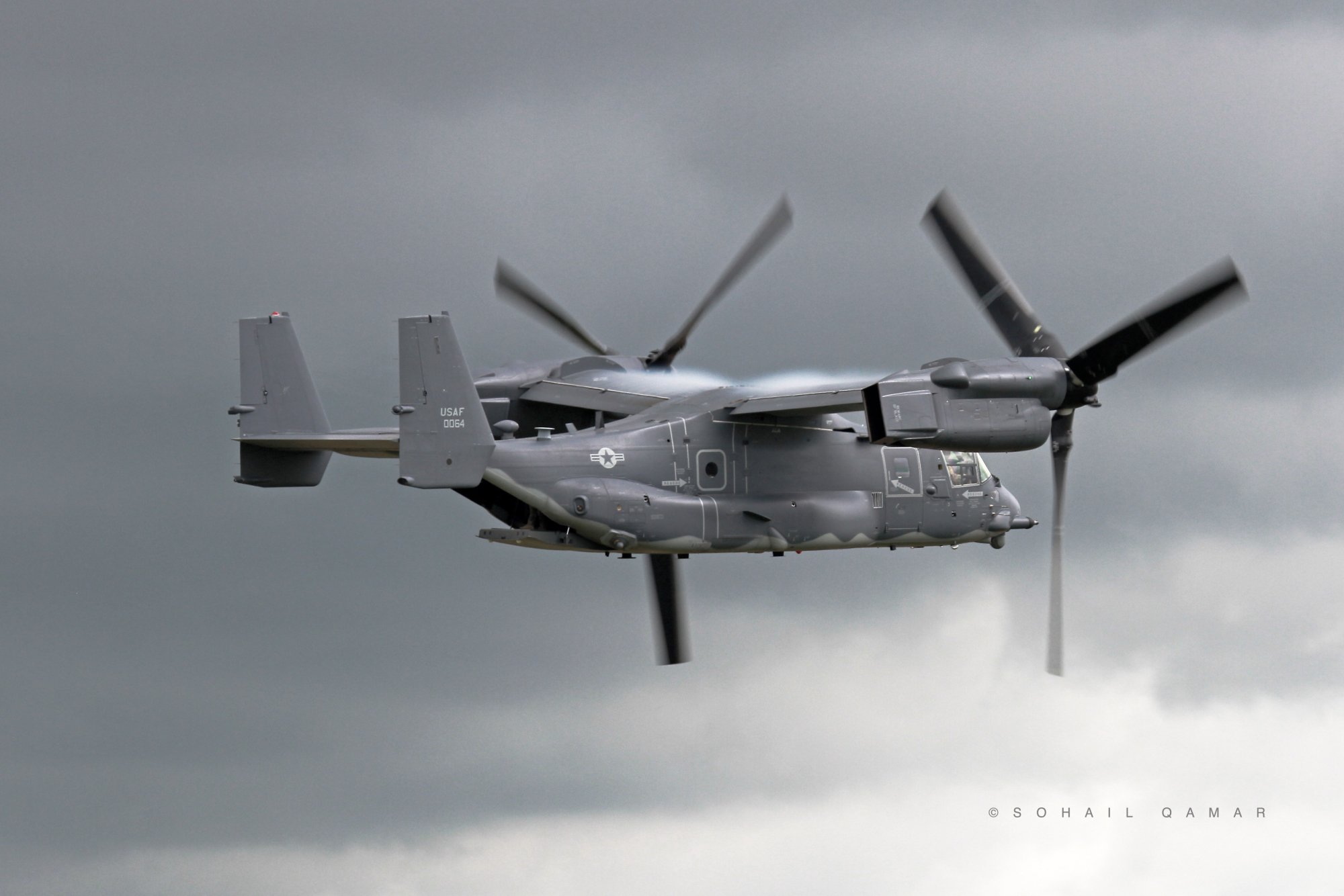 Osprey-1.jpg