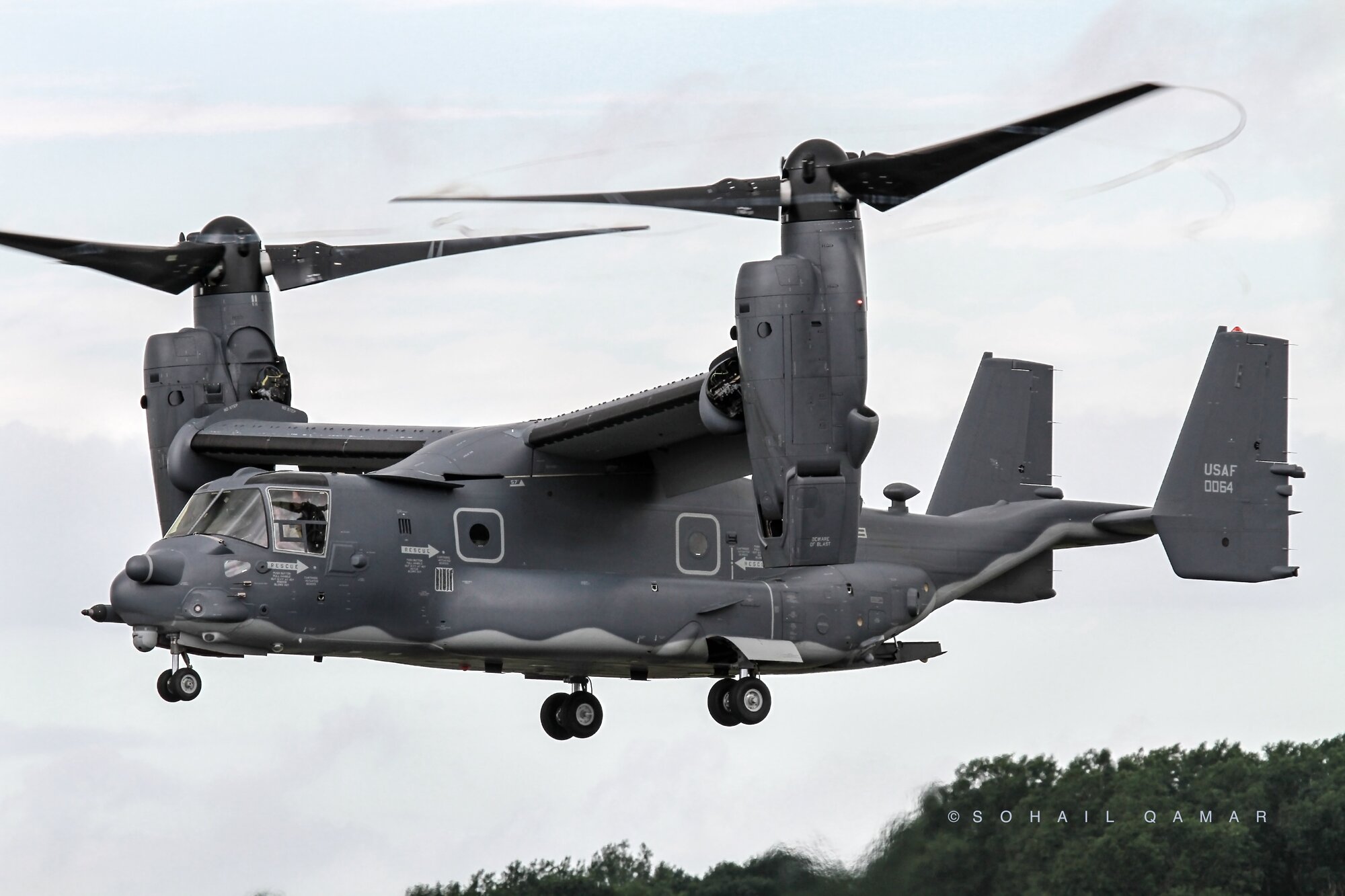 Osprey1.jpg