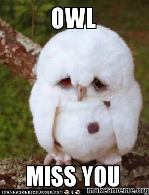 OWL-MISS-YOU[1].jpg