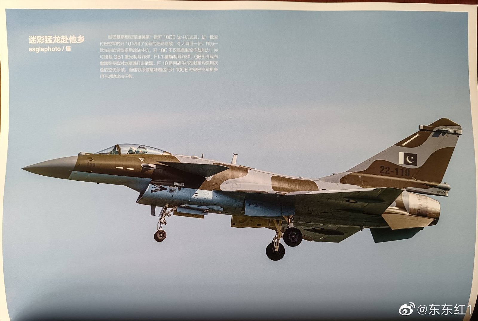 PAF J-10CE 22-119 - EaglePhoto.jpg