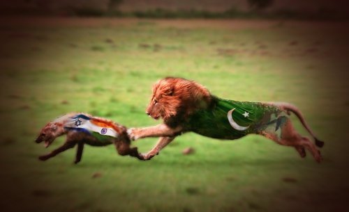 pak lion.jpg