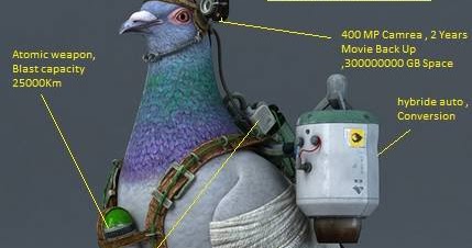 pakistan-spy-pigeon.jpg