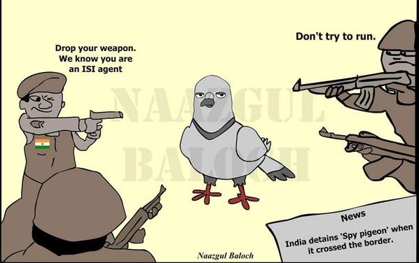 Pakistani-Spy-Pigeons-17.jpg