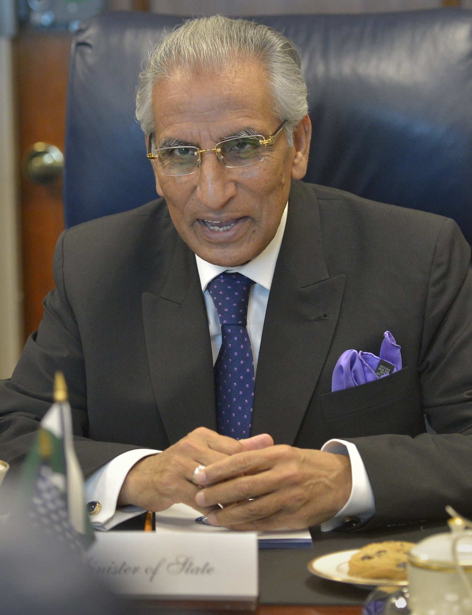 Pakistan's_Minister_of_State_Tariq_Fatemi,_July_24,_2015.jpg