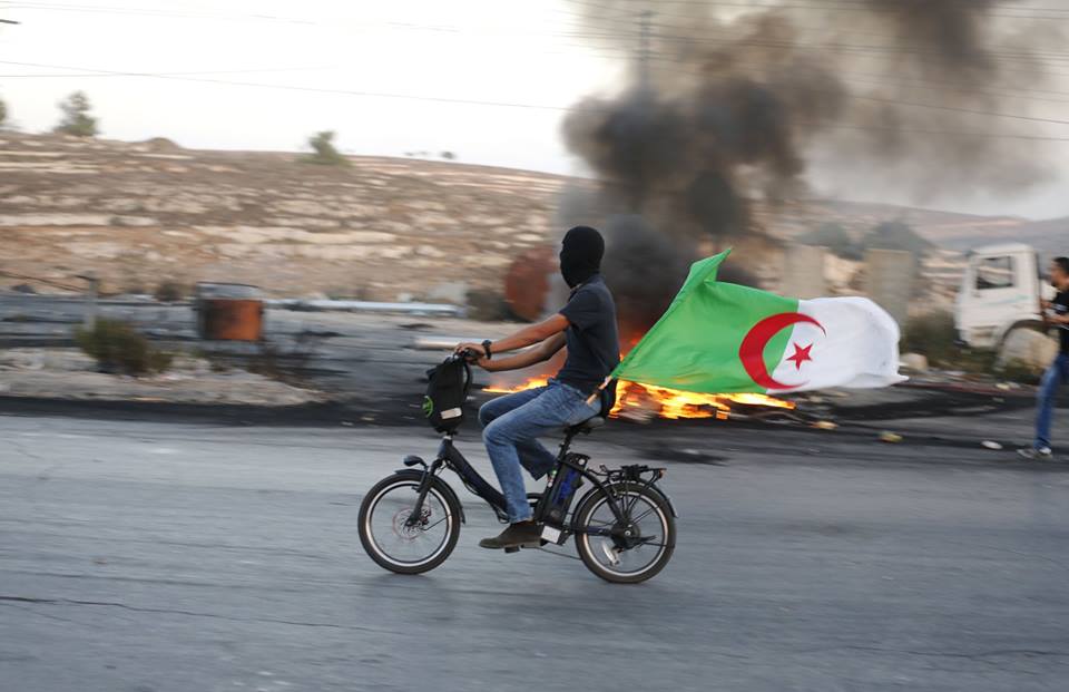 palestine 10 15 15 palestinian riding bycicle with algerian flag...jpg