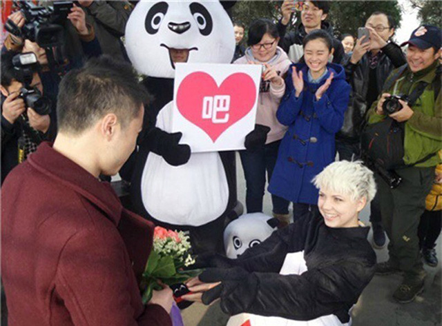 panda-proposal.jpg