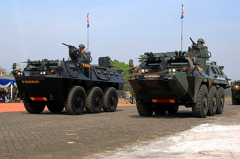 paskhas-pindad-anoa.jpg