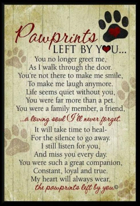 pawprints-quote_0[1].jpg