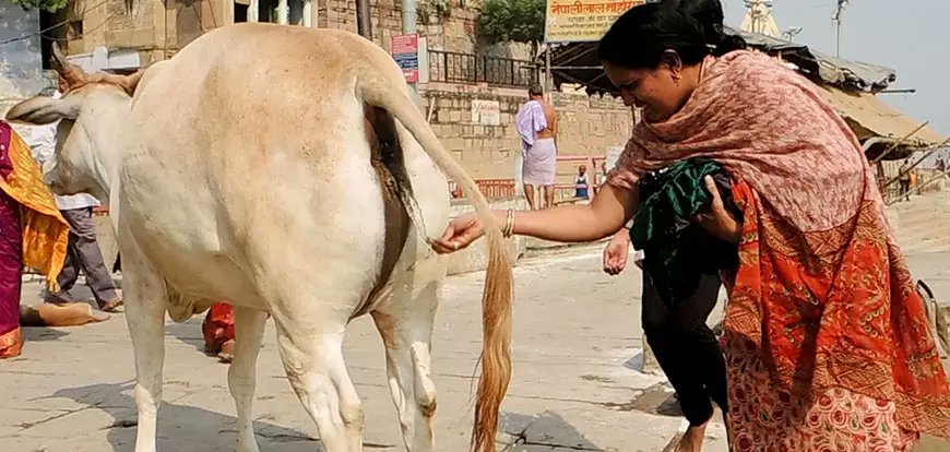 Peak Hindu Women.jpg